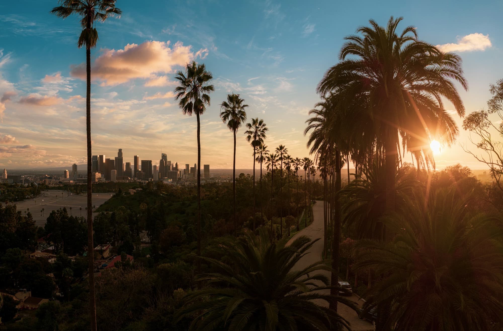 Palm trees and a winding road at sunset, with the downtown Los Angeles skyline in the distance