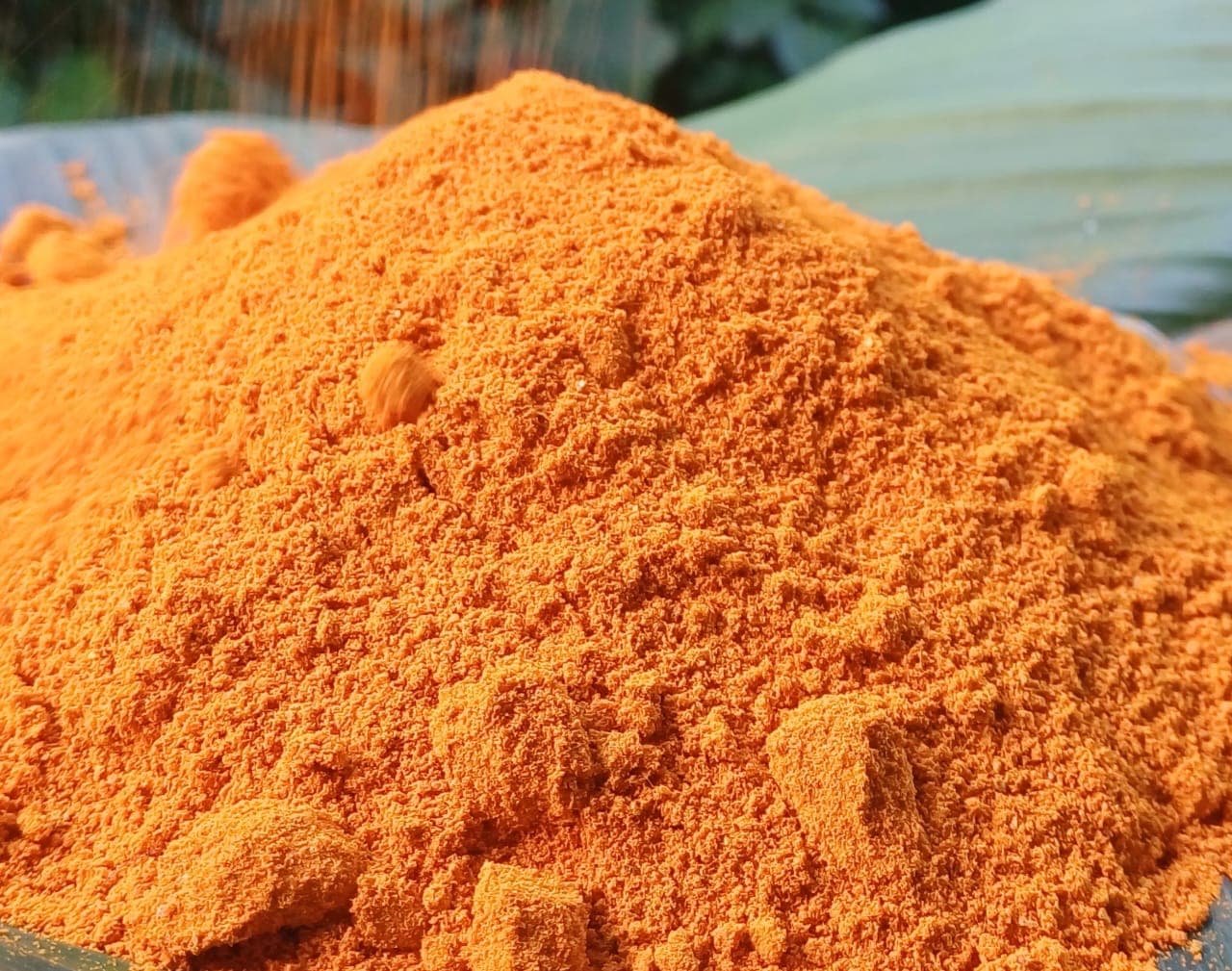 Bright orange Lakadong turmeric powder heaped on a green leaf