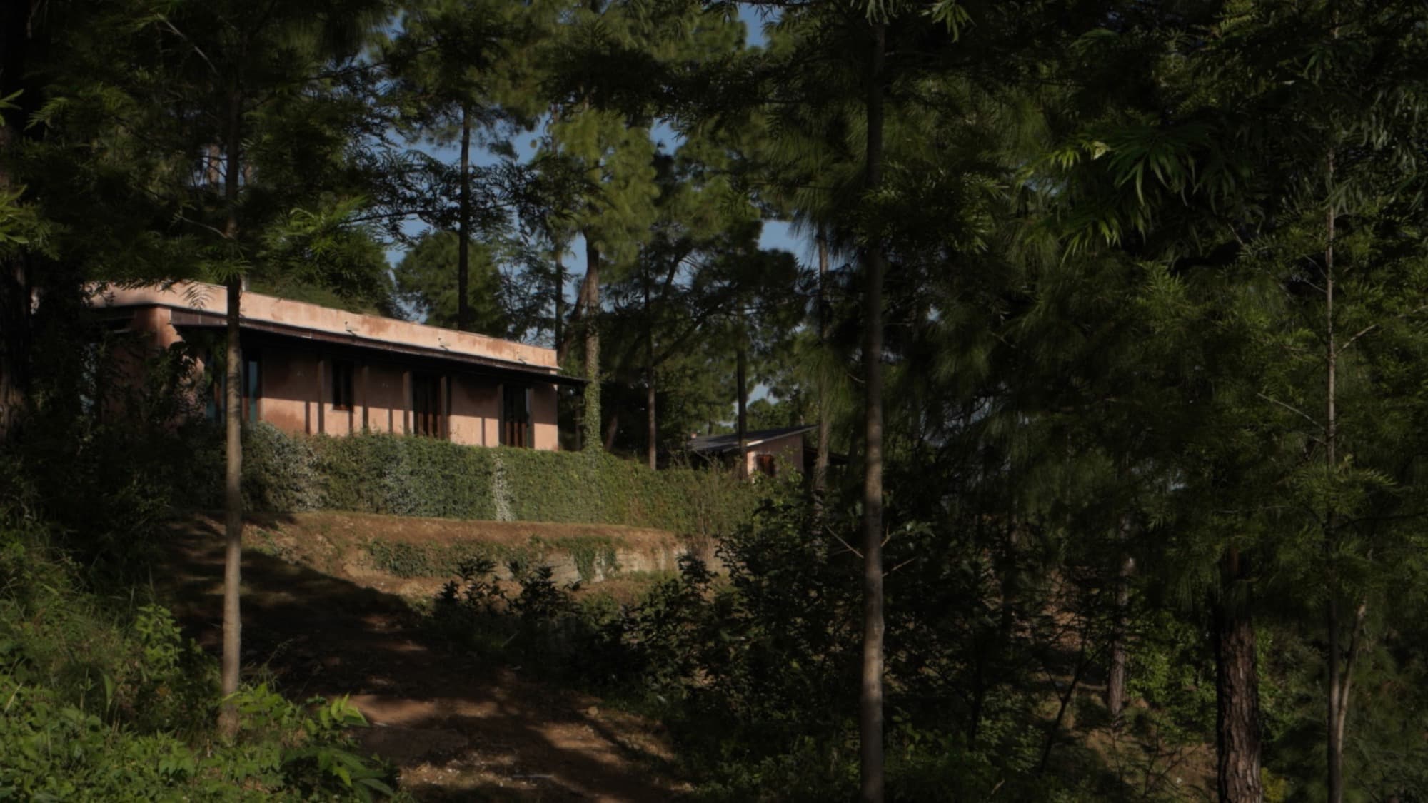 NAAR’s low dining hut among the pines at Amaya near Darwa