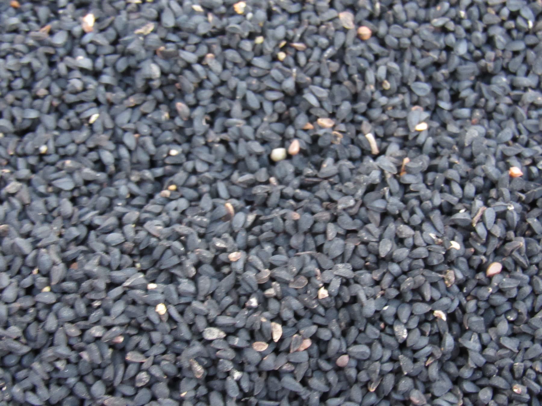 Close-up of whole kalonji seeds, matte black and angular, filling the frame