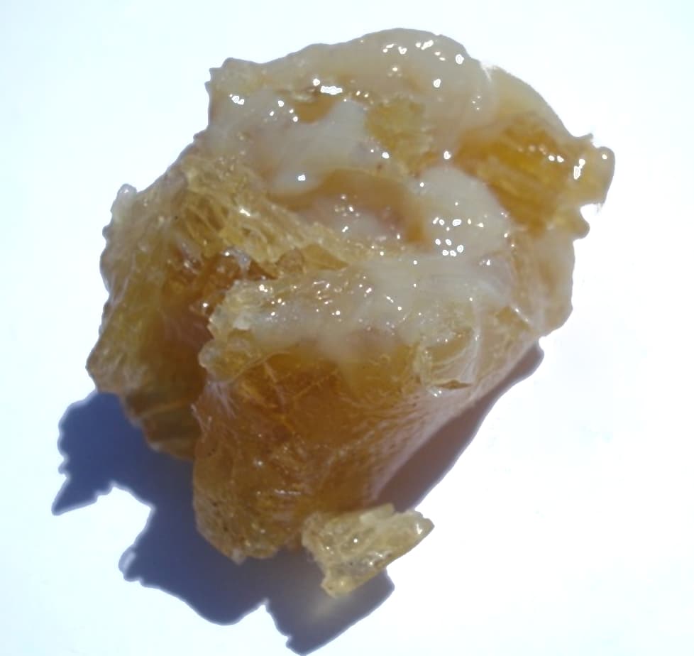 Close view of amber and cream asafoetida oleo-gum-resin from South Khorasan, Iran