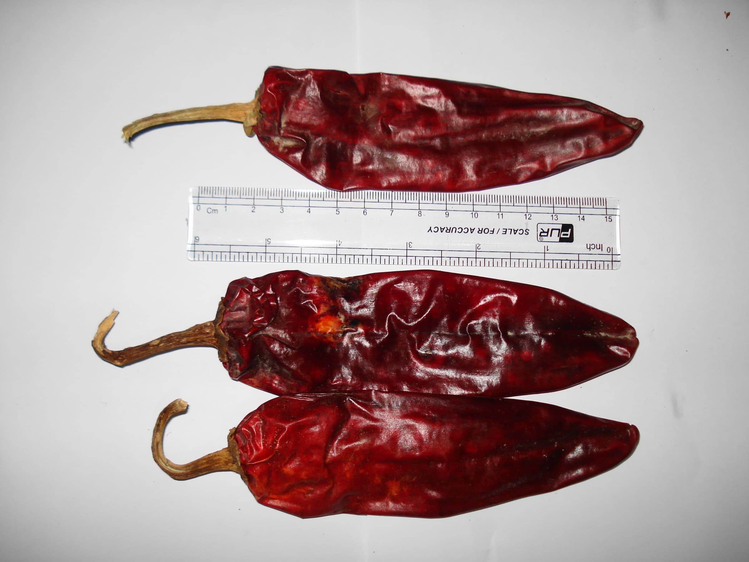 Three dried Kashmiri red chili pods on a white background with a scale ruler