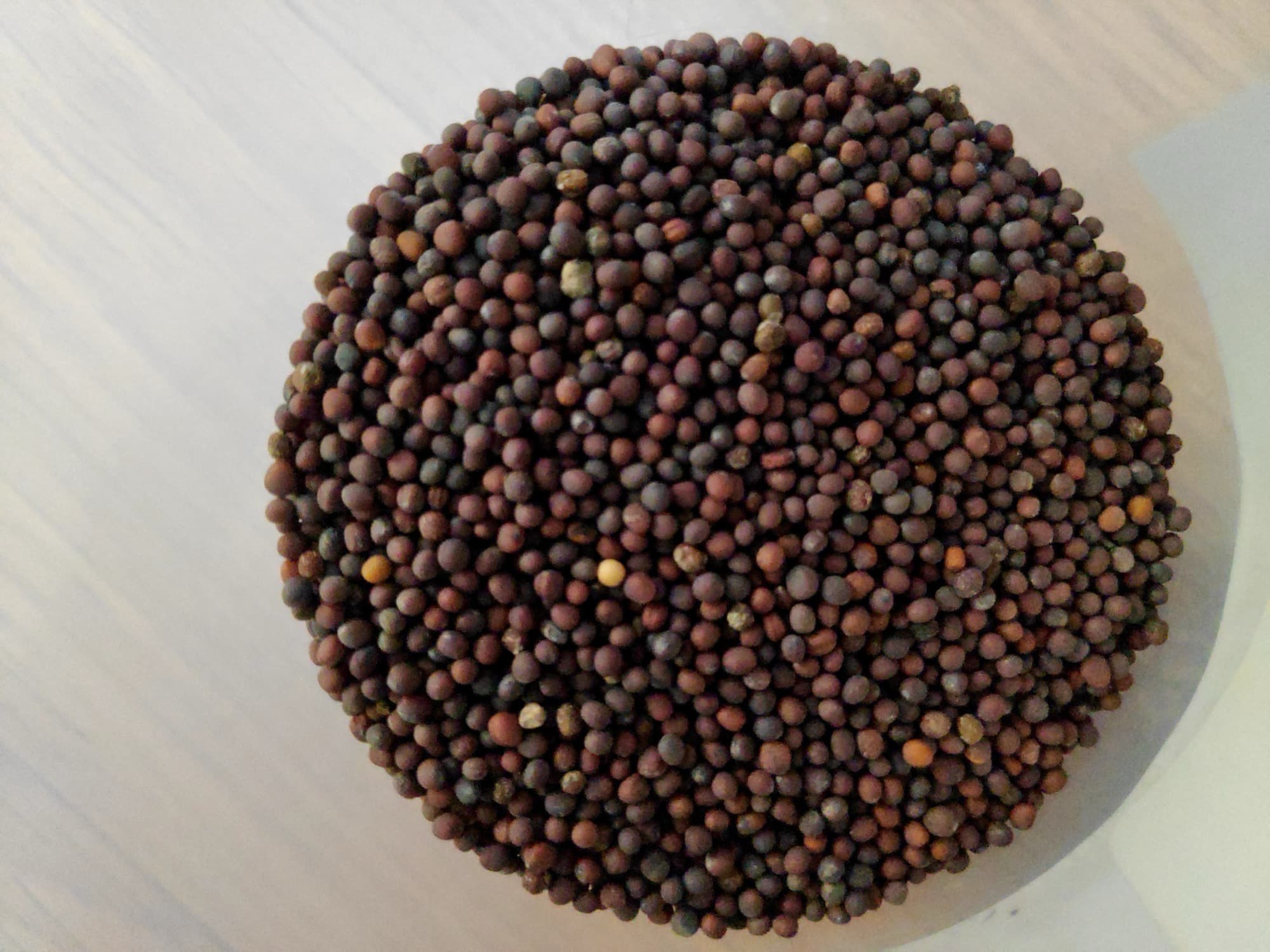 Circular pile of dark brown and black mustard seeds on a light surface